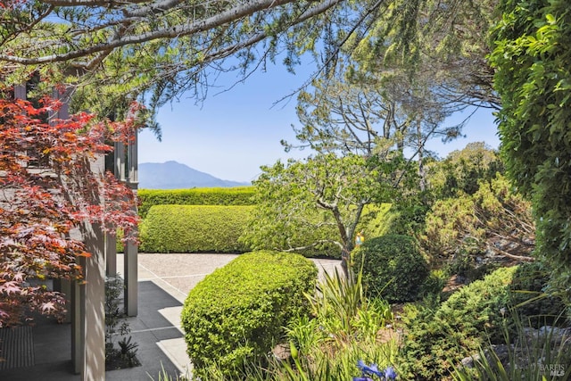 83 Mount Tiburon Rd, Tiburon, CA 94920 - view of yard with a mountain view