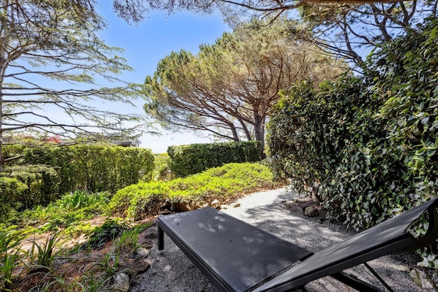 83 Mount Tiburon Rd, Tiburon, CA 94920 - view of yard