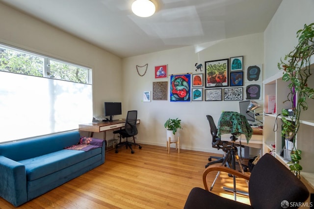 office space with light hardwood / wood-style flooring