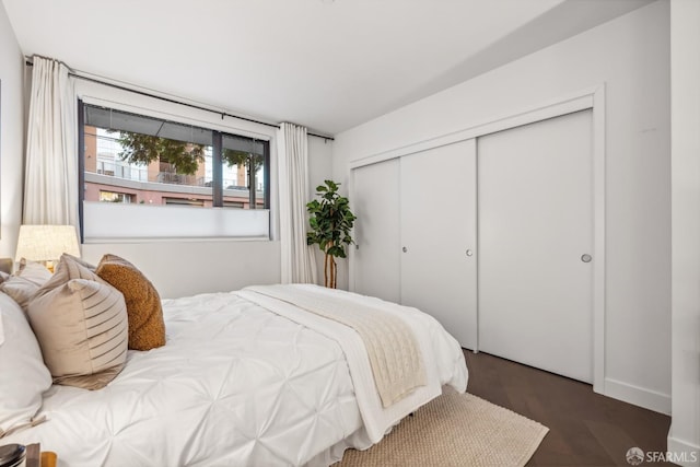 bedroom featuring a closet and dark wood-type flooring