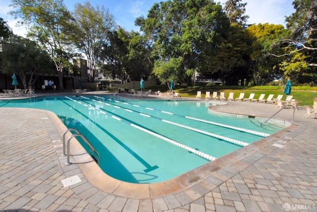 view of swimming pool featuring a patio