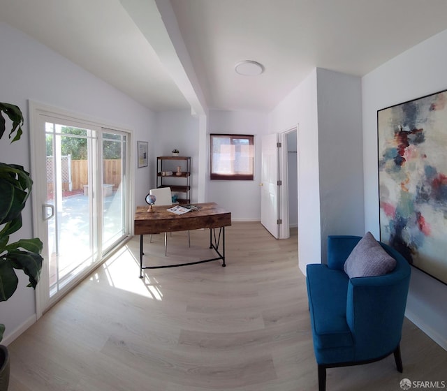 office area featuring light wood-type flooring and a wealth of natural light