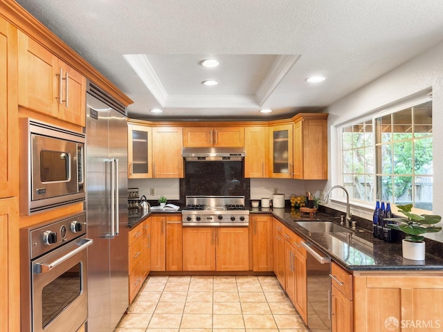 1113 Pebblewood Way, San Mateo, CA 94403 - kitchen with a sink, built in appliances, a raised ceiling, under cabinet range hood, and recessed lighting