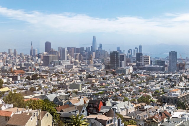 351 Buena Vista E Avenue 604E, San Francisco, CA 94117 - skyline view