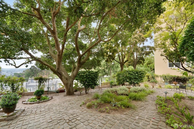 351 Buena Vista E Avenue 604E, San Francisco, CA 94117 - view of community with a patio