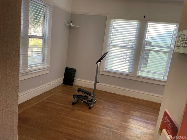 exercise area featuring a healthy amount of sunlight and hardwood / wood-style floors