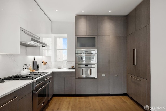 kitchen featuring appliances with stainless steel finishes, under cabinet range hood, modern cabinets, and light wood-type flooring