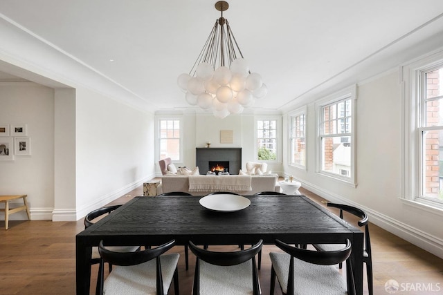dining area with baseboards, a warm lit fireplace, wood finished floors, and ornamental molding