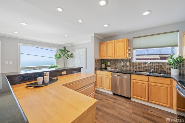 kitchen with a sink, wood finished floors, appliances with stainless steel finishes, light brown cabinets, and decorative backsplash