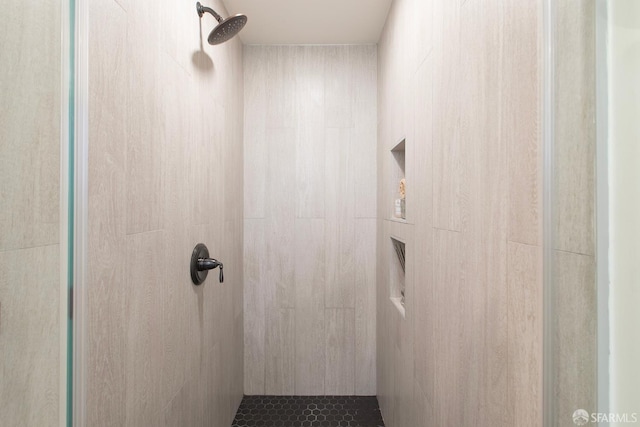 213 Virginia Ave, San Francisco, CA 94110 - full bathroom featuring tiled shower