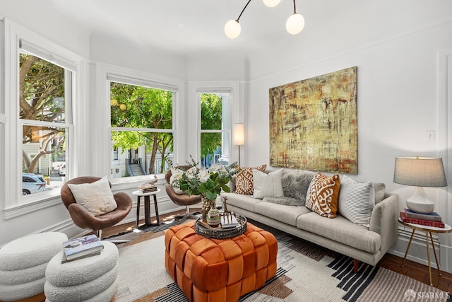 213 Virginia Ave, San Francisco, CA 94110 - living room with plenty of natural light