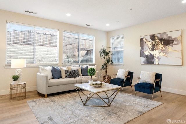 living room with wood-type flooring