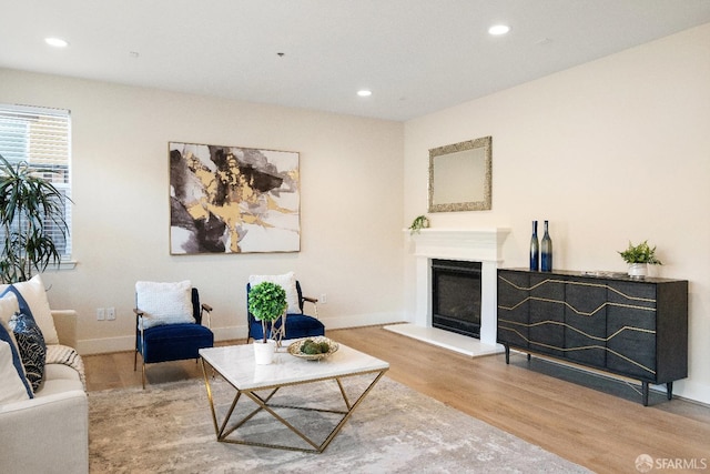 living room with hardwood / wood-style floors