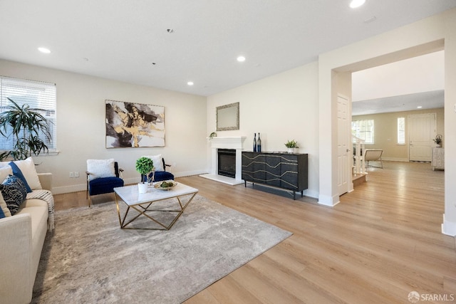 living room featuring light hardwood / wood-style flooring and a wealth of natural light