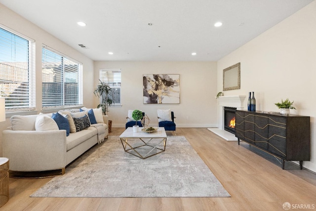 living room featuring light hardwood / wood-style flooring