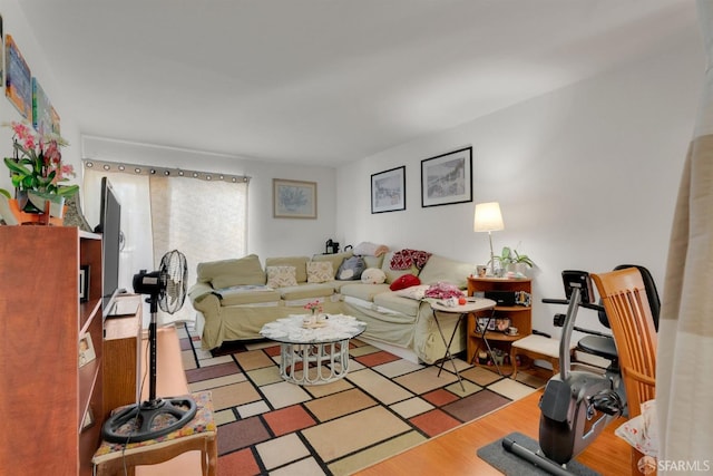 living room featuring light wood-type flooring