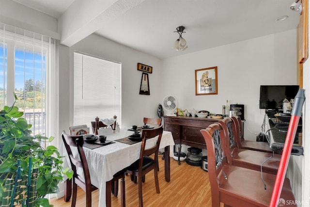 dining room with light hardwood / wood-style flooring