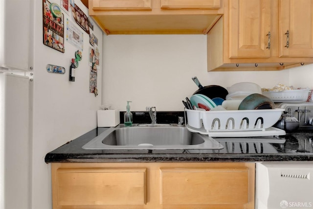 interior details with light brown cabinetry, sink, and white fridge