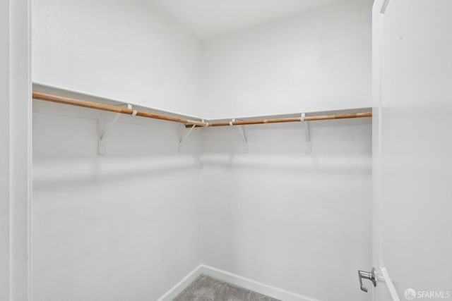423 7th St Unit 303, Oakland, CA 94607 - walk in closet featuring carpet flooring