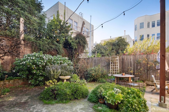 view of yard with a patio