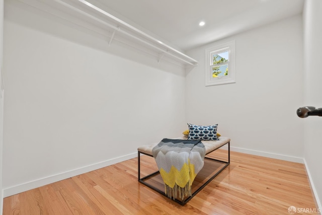 spacious closet with light wood-style flooring