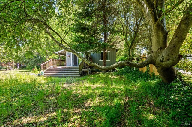 8352 Bodega Ave, Sebastopol, CA 95472 - view of yard with a deck