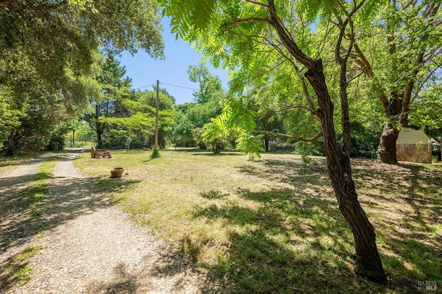 8352 Bodega Ave, Sebastopol, CA 95472 - view of green lawn