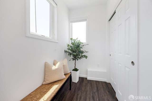 299 Sagamore St, San Francisco, CA 94112 - hallway with healthy amount of natural light and dark wood-style flooring