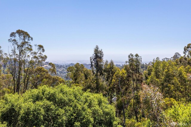 6353 Skyline Blvd, Oakland, CA 94611 - view of wooded area