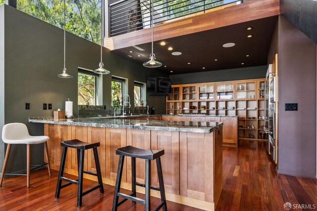 6353 Skyline Blvd, Oakland, CA 94611 - kitchen with dark wood finished floors, a high ceiling, glass insert cabinets, dark stone countertops, and a peninsula