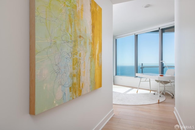 201 Folsom St Unit 38E, San Francisco, CA 94105 - hallway featuring baseboards, wood finished floors, and plenty of natural light