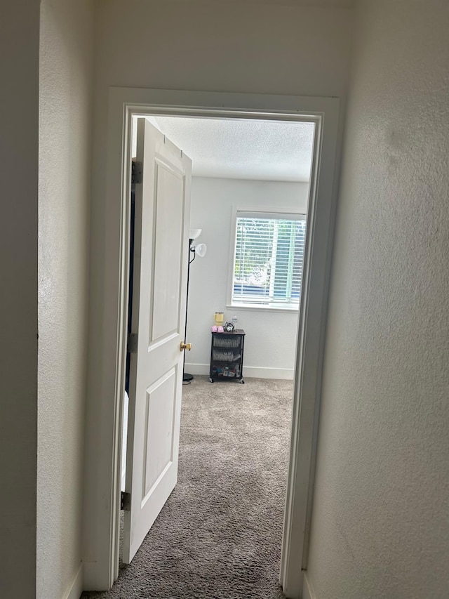 6517 Filaree Way, Sacramento, CA 95842 - hall with carpet floors, baseboards, and a textured wall
