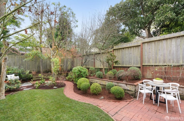 view of yard featuring a patio area