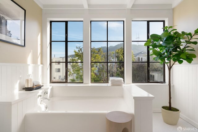 bathroom featuring a tub and plenty of natural light