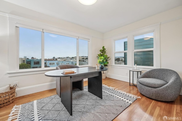 office space with light hardwood / wood-style floors