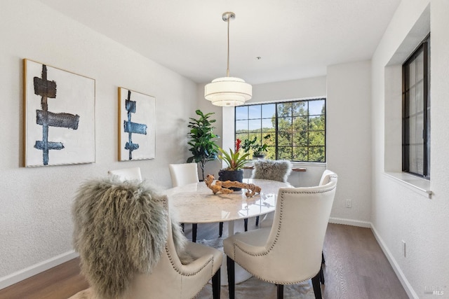 dining room with dark hardwood / wood-style floors