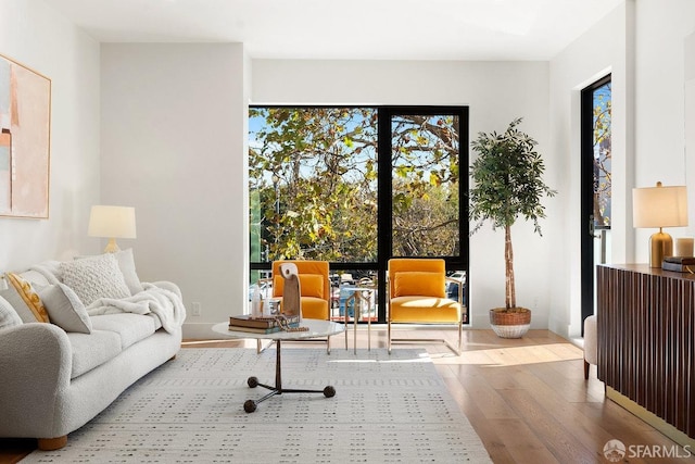 living area featuring hardwood / wood-style floors