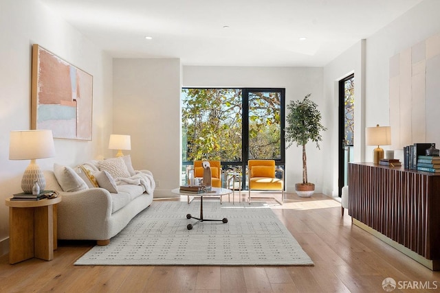 living area featuring light hardwood / wood-style floors