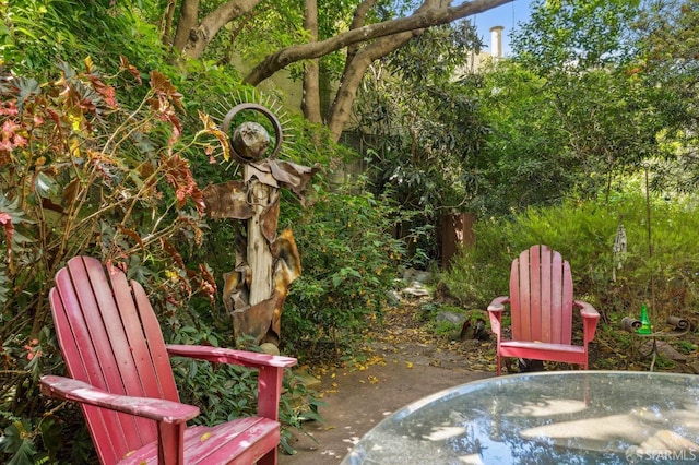 735 Geary St Unit 102, San Francisco, CA 94109 - view of yard