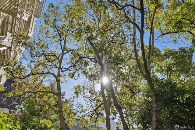735 Geary St Unit 102, San Francisco, CA 94109 - water view