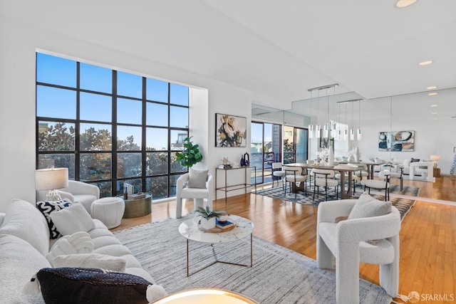 living room featuring hardwood / wood-style flooring