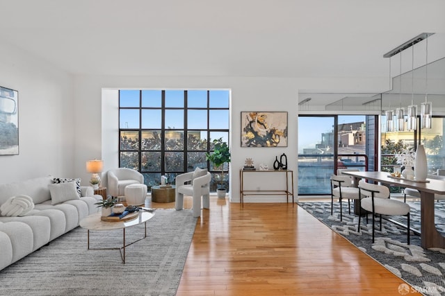 living room featuring hardwood / wood-style flooring