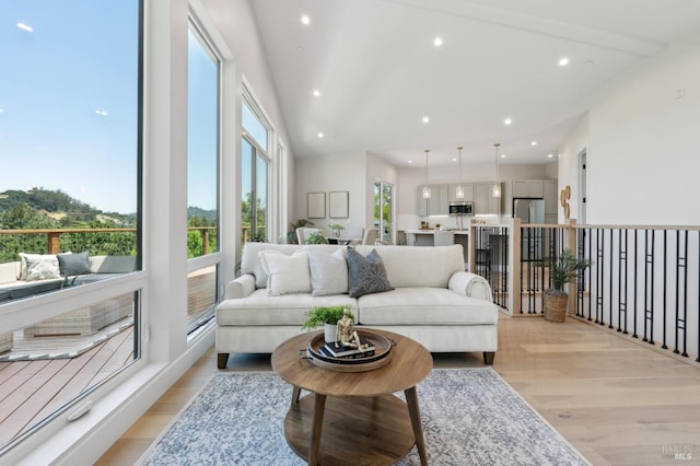745 Redwood Rd, San Anselmo, CA 94960 - living area featuring light wood finished floors and recessed lighting