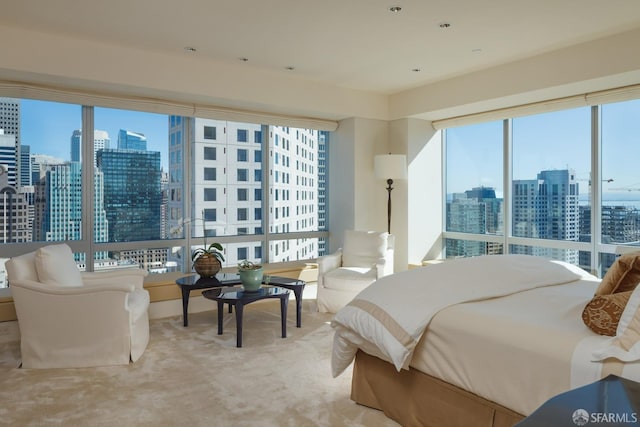 view of carpeted bedroom