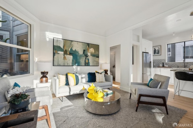 living room featuring sink, wood-type flooring, and ornamental molding