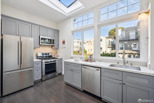 kitchen featuring stainless steel appliances, a sink, and gray cabinetry