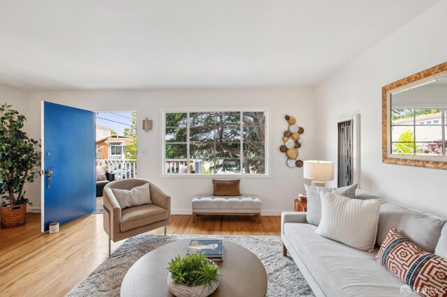 living area with baseboards, wood finished floors, and a wealth of natural light