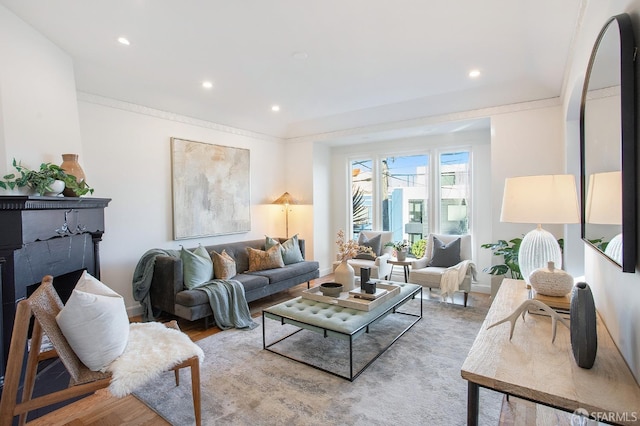 living room featuring light wood-type flooring