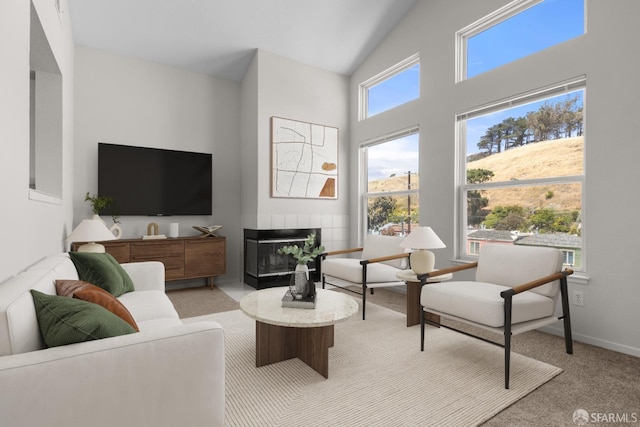 163 Stoneridge Ln, San Francisco, CA 94134 - living room with light carpet, a multi sided fireplace, and a high ceiling