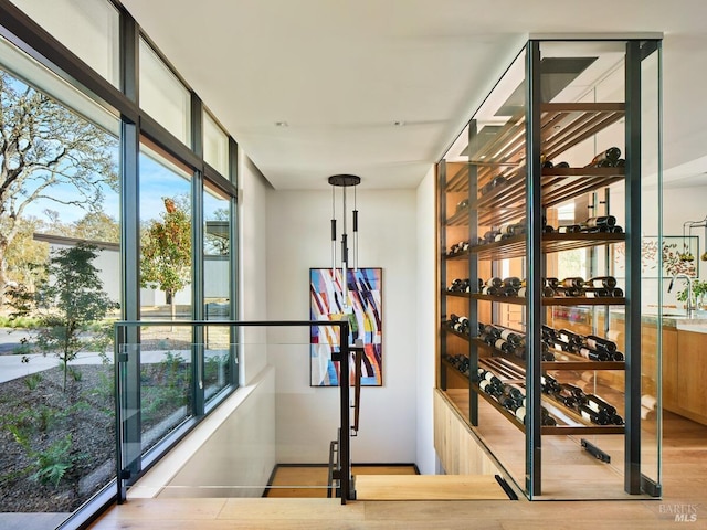 wine cellar featuring a wall of windows and wood finished floors